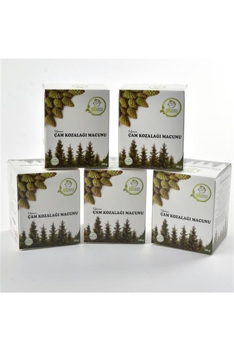 ŞİFA ANA Çam Kozalak Macunu 10 Adet