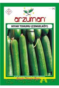 GüçlüTedarik Çengelköy Tipi Hıyar Tohumu 300 Tohum 10 Gram