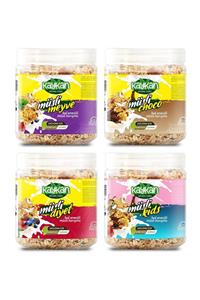 Kaykan Natural Foods Müsli Diyet + Choco + Meyve + Kids Granola 350gr 4’lü Avantaj Paket