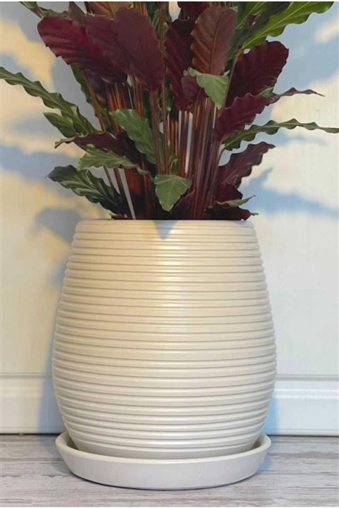 neo izmir Krem Çizgili Büyük Toprak Saksı