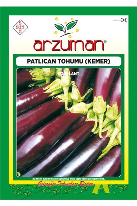 GüçlüTedarik Kemer Patlıcan Tohumu 1500 Adet 10 Gram