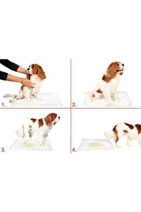 Bahrem Yıkanabilir Köpek Çiş Pedi - 100 X 70 Cm 5li Paket