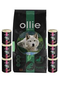 Ollie Kuzu Etli Yavru Köpek Maması 15 kg + 6 Adet Yavru Konserve Hediye