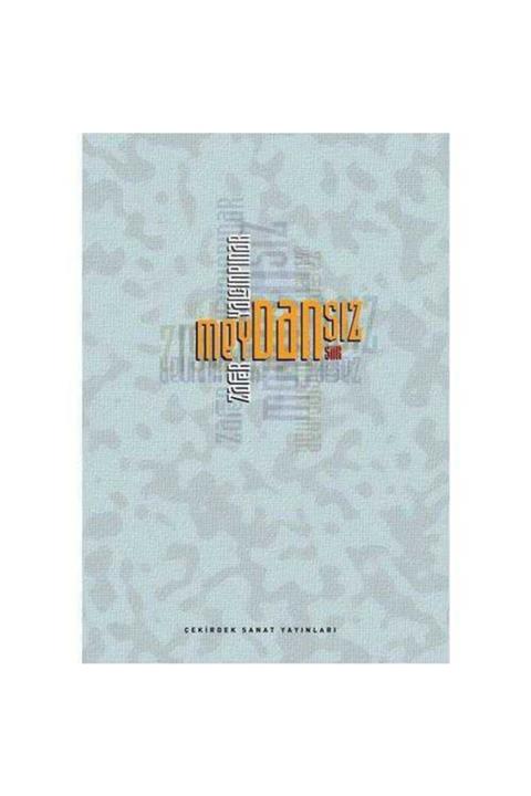 KitapSever Meydansız - Zafer Yalçınpınar