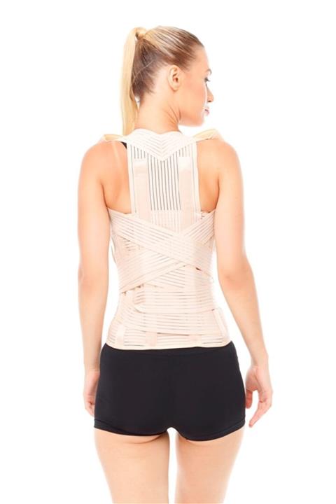 ORLEX Dorselomber Korse Orx-k 516