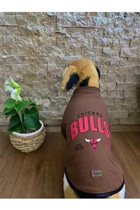 Buddy Store Kedi Köpek Kıyafeti & Elbisesi Uzun Kollu Model Kahverengi Bulls (kaşkorse)