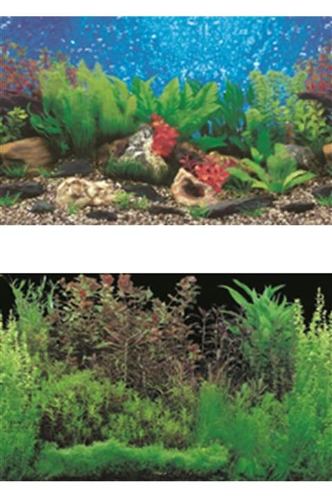 Xiongfa Poster 60 Cm - 15 M