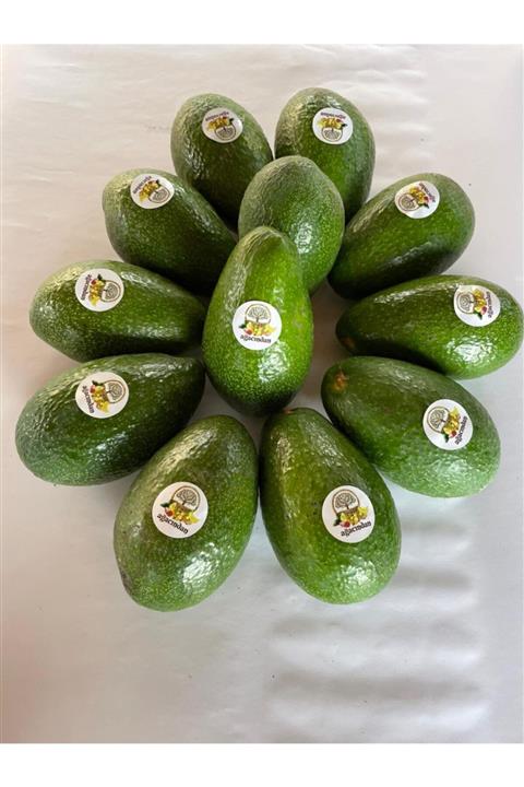 Ağacından 12'li Avokado Toplam 2800-3200 gram Arası