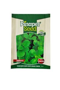 Pinaper Seed Semizotu Tohumu - Semiz Otu - 10 gr