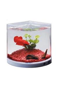 Pi İthalat Dophin Mini Betta Tank Betalık