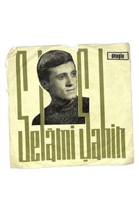 Gökçe Koleksiyon Selami Şahin - Dön Artık Bana Çok Geç Olmadan Zeynebim *sadece Plak Kabıdır*