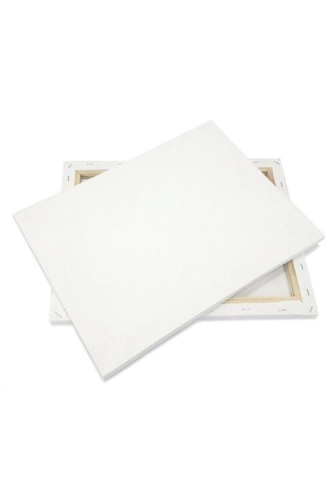 By ARTIST Profesyonel Tuval Standart 70x120