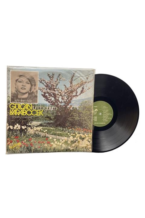 Gökçe Koleksiyon Gülcan Karaböcek (1981) - Funda Gülüm Lp (10/8)