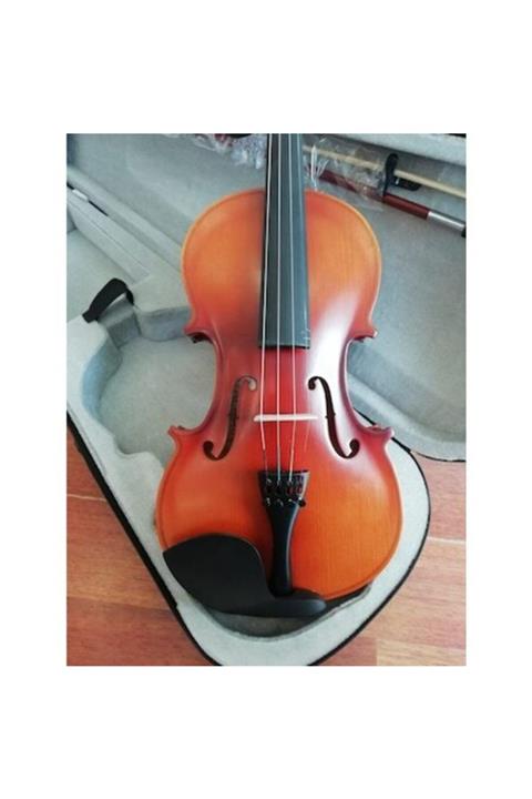 VALERIA Pvl002g 4/4tam Boy Hareli Keman (kutu+yay+yastık+reçine)