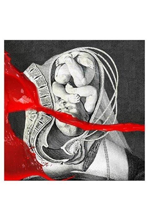 ORP Cd Iamx The Unıfıed Fıeld 1cd