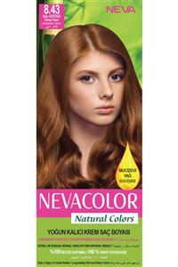 Neva Color Saç Boyası Seti 8.43 Bal Köpüğü 8698636612418