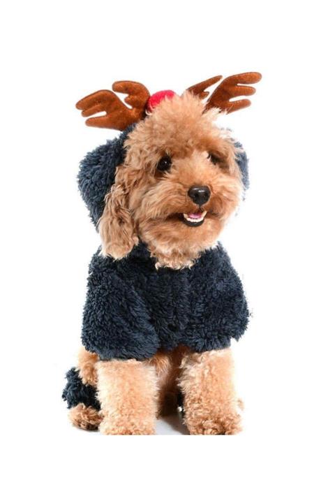 Petza Köpek Tulumu - Edda - Köpek Kıyafeti