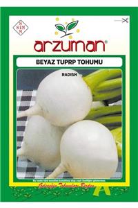 GüçlüTedarik Beyaz Turp Tohumu 2000 Tohum 25 Gram