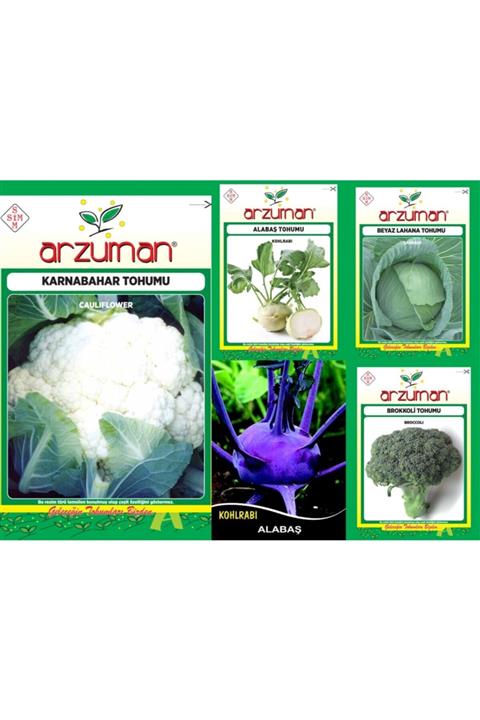 Karahasanoğlu Tarım Mor Alabaş-beyaz Alabaş-karnabahar-brokoli-beyaz Lahana 5'li Tohum Seti