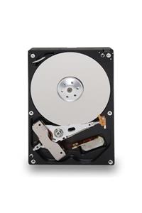 REWEL Western Digital Wd250avjs 250gb Hdd Harddisk ( Güvenlik Kamera Harddisk ) 423011