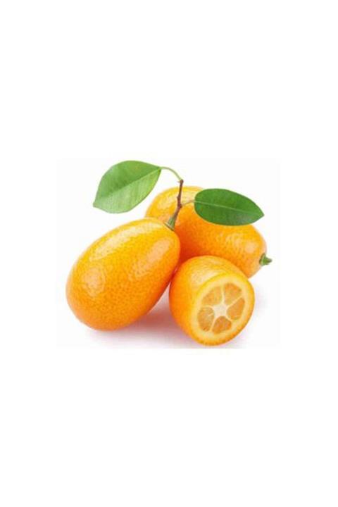 TROPİK SEPETİ Kumkuat 250 gr