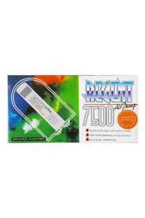 Regent 7500 Hava Motoru Çift Çıkışlı