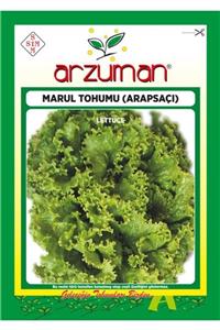 GüçlüTedarik Arapsaçı Kıvırcık Marul Tohumu 10 Gram 7000 Tohum