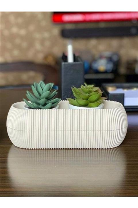 TEMMUZ HOME Karasu 1 Nolu Uzun Mercan Kaktüs Sukulent Ve Çiçek Saksısı