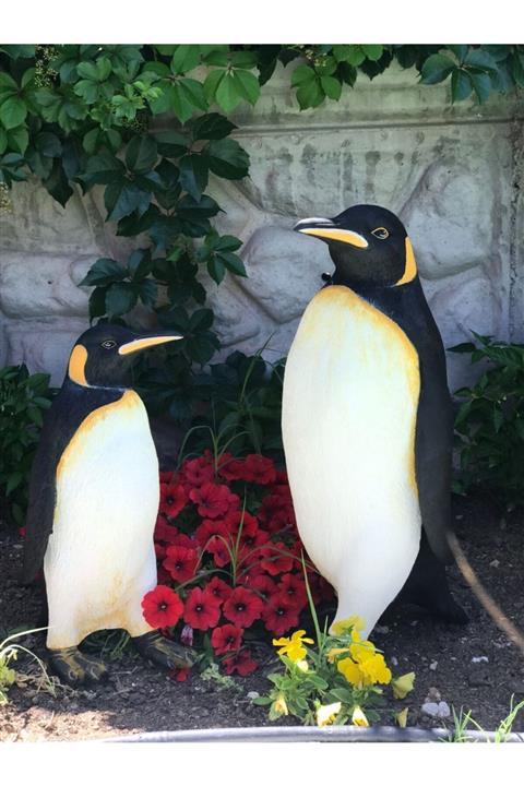 Animer Sanat El Boyaması Dekoratif Penguen 2'li Set Bahçe Dekorasyonu