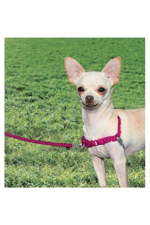 PetSafe Easy Walk Harness Pembe Köpek Göğüs Tasması Extra Large 86 117 cm