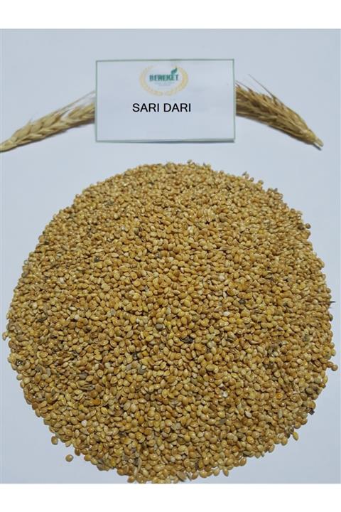 Bereketlimama Sarı Darı- Kuş Yemi-10 Kilogram