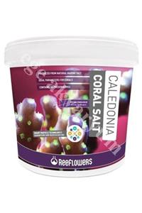 ReeFlowers Caledonia Coral Salt 22,5kg