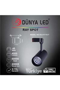 DÜNYA LED Hs.517/1s-t 40w Cob Led Ray Spot Siyah 6500k Beyaz Işık Trifaze