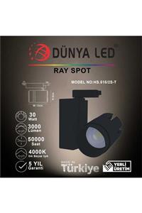 DÜNYA LED Hs.515/2s-t 30w Cob Led Ray Spot Siyah 4000k Ilık Beyaz Işık Trifaze