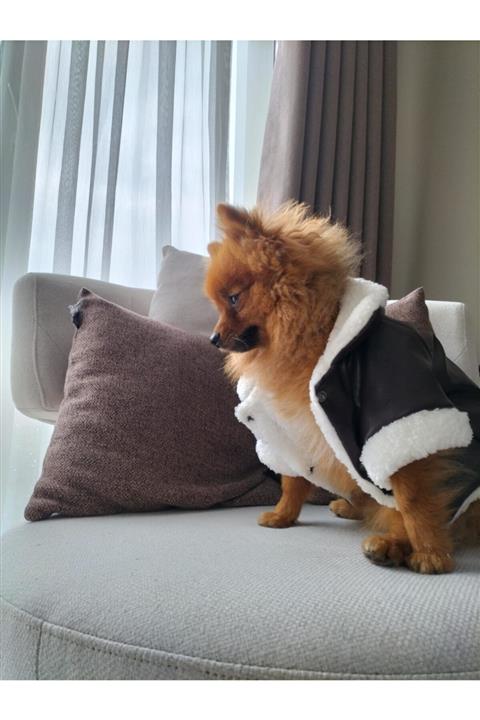 Patis Deri Görünümlü Ceket