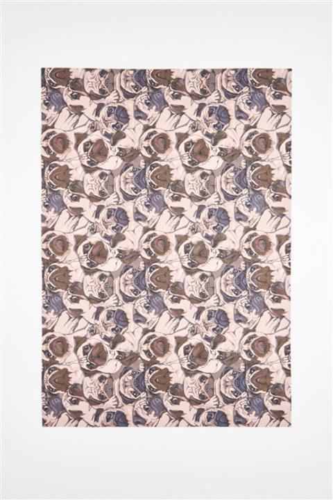 Asterion Evcil Hayvan Havlu/çok Emici Örtü