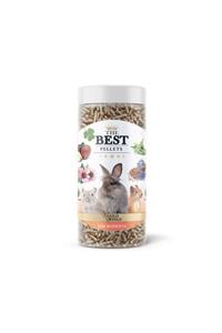 Gold Wings The Best Kemirgen Tavşan Hamster Ginepig Pellets 200 Gr