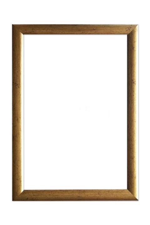 CAM 30x40 Altın Rengi Lı Çerçeve