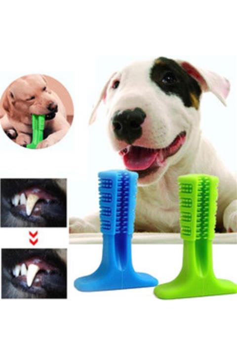 Trend Avenue Köpek Diş Temizleyici Ve Kaşıyıcı Sağlıklı Küçük Boy Oyuncak