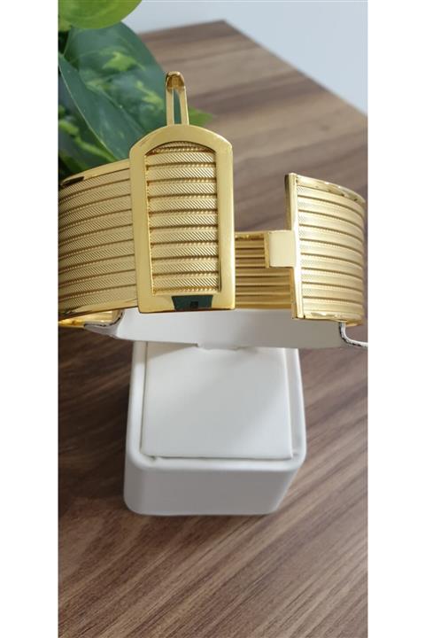 Altınalsak Geniş Kelepçe