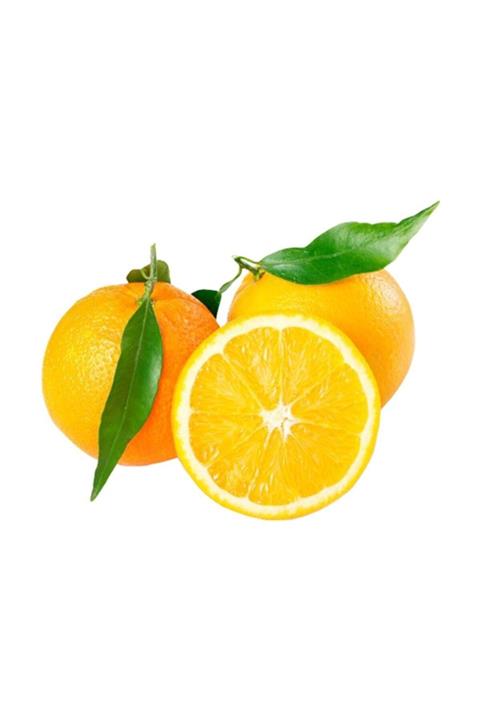 Sebze Meyve Dünyası Portakal Finike (kg)