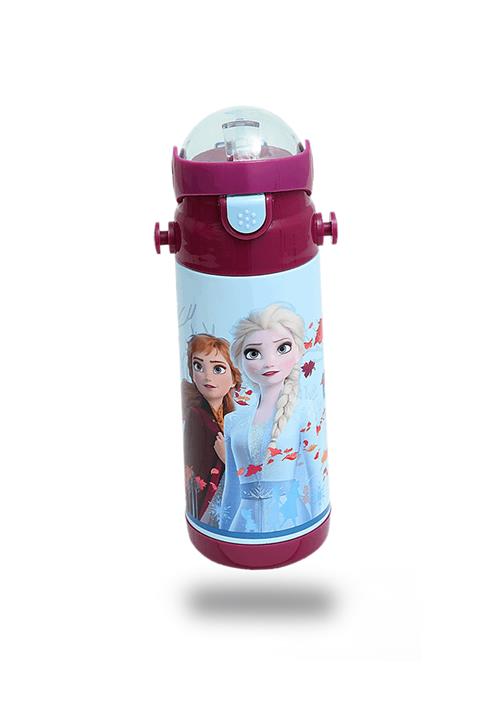 Frocx Lisanslı Frozen Çelik Termos Matara 44035