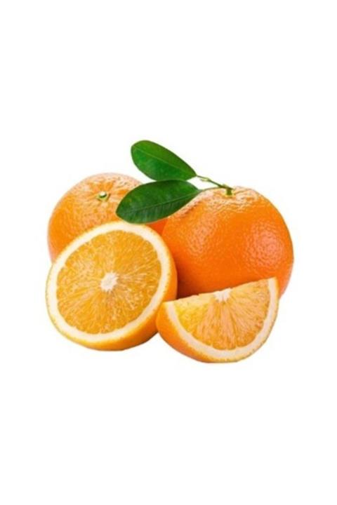 Yenir tarım ürünleri Portakal Washington File 1kg