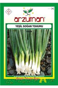 GüçlüTedarik Yeşil Soğan Tohumu 3000 Tohum 10 Gram