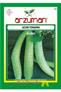 GüçlüTedarik Acur Tohumu 300 Adet 10 Gram