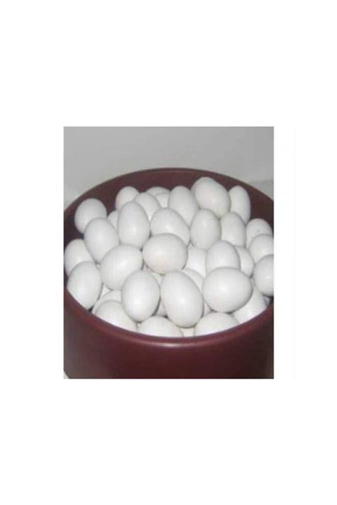 TROPİKAL Sahte Güvercin Yumurtası 5 Adet