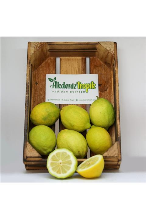 AkdenizTropik Limon