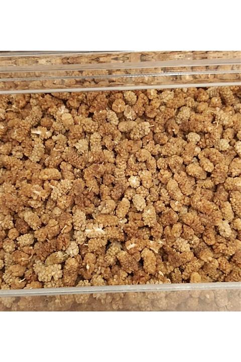 Ece doğal ürün pazarı Dut Kurusu - 100 gram