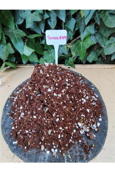toprak 5 Litre Succulent Karışımı 5 Litre Özel Yapım Echeveria Sıkulent Toprağı