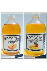 Brescia 2 Adet 110ml Bambu Çubuklu Oda Banyo Kokusu Kavun & Mango 2x110ml